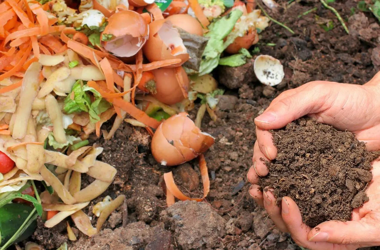 6 idee per un compost di qualità: la numero 5 accelera la decomposizione