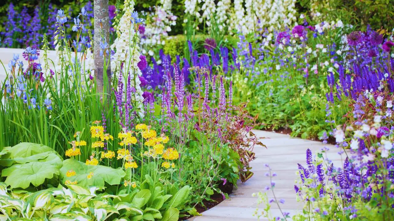 Come creare un’aiuola di piante perenni