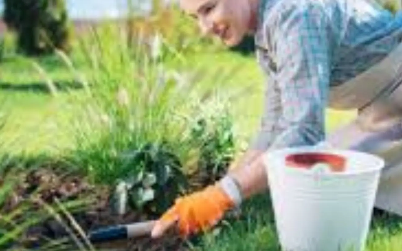 Perché l’orto non produce? Gli errori più comuni